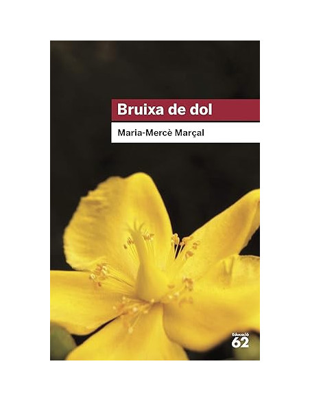 BRUIXA DE DOL (M.M. MARÇAL)